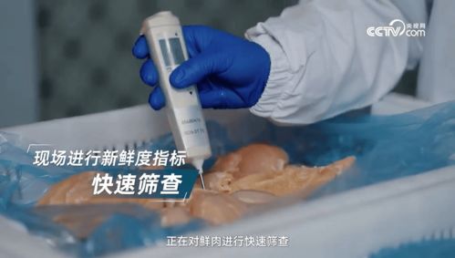 看鑒放心寵糧 探訪鮮朗，以全鏈路透明筑牢寵糧安心底線